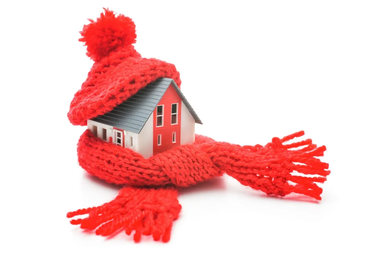 House with Hat and Scarf