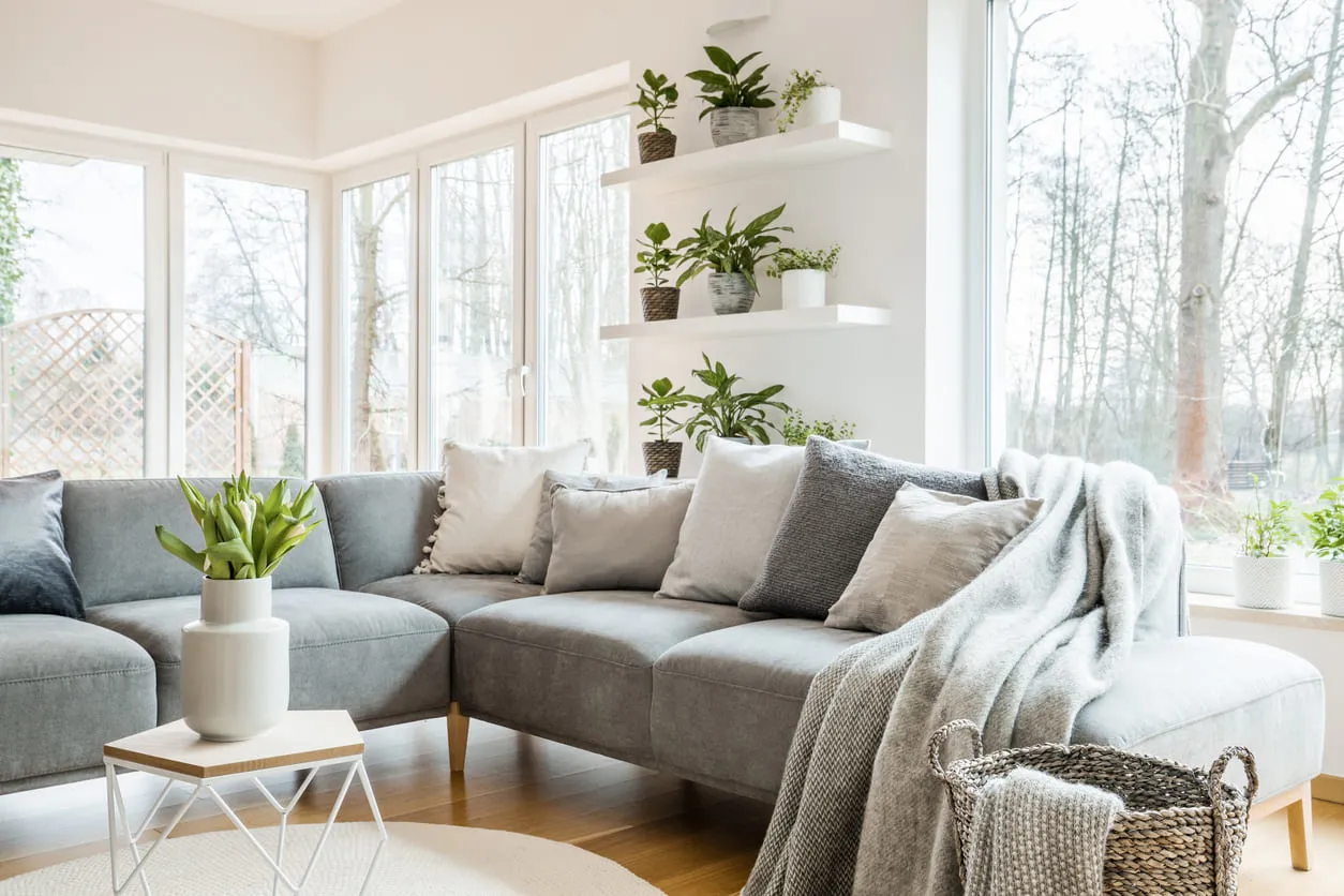 Pretty Living Room with Plants