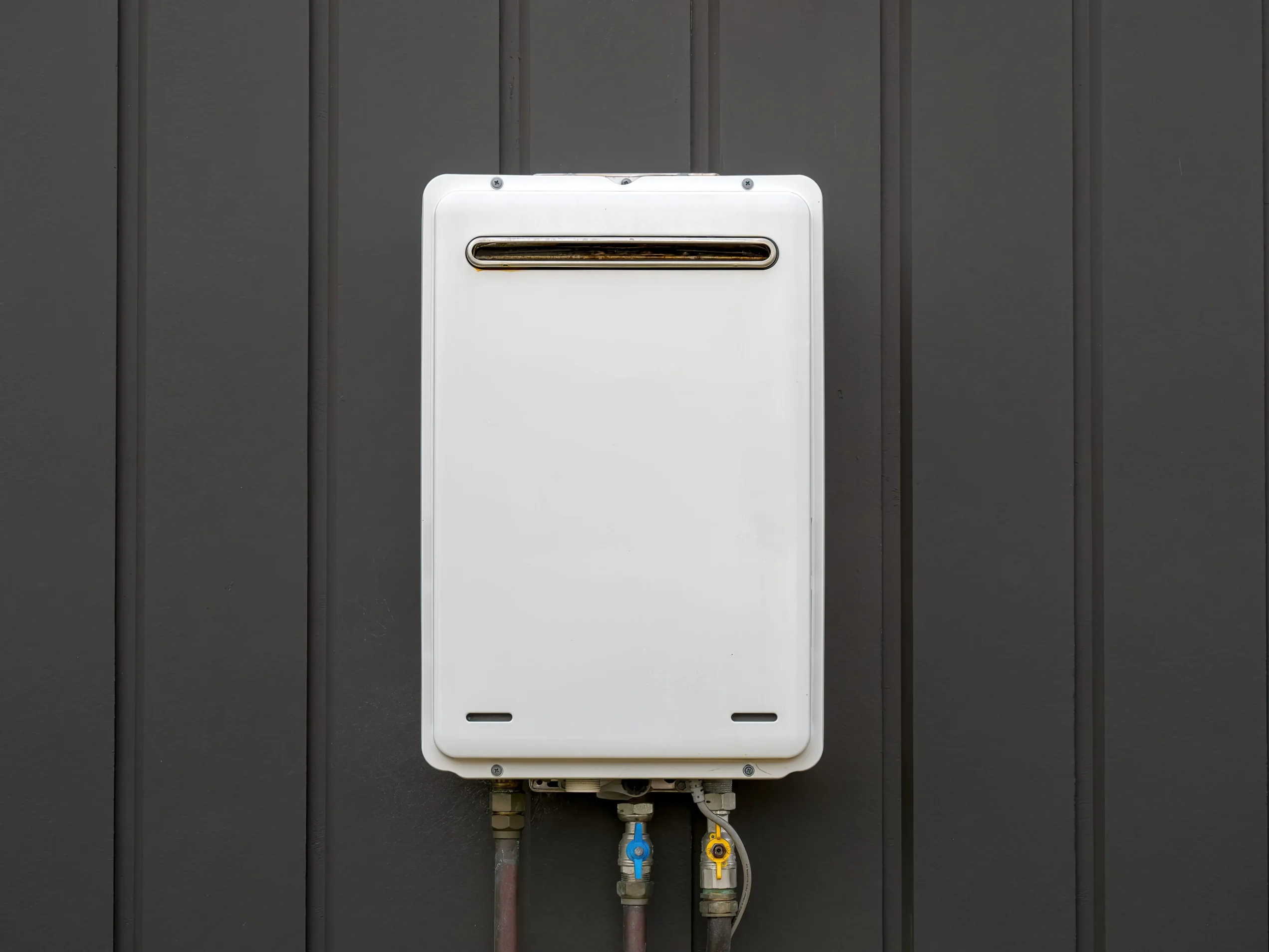 Tankless water heater