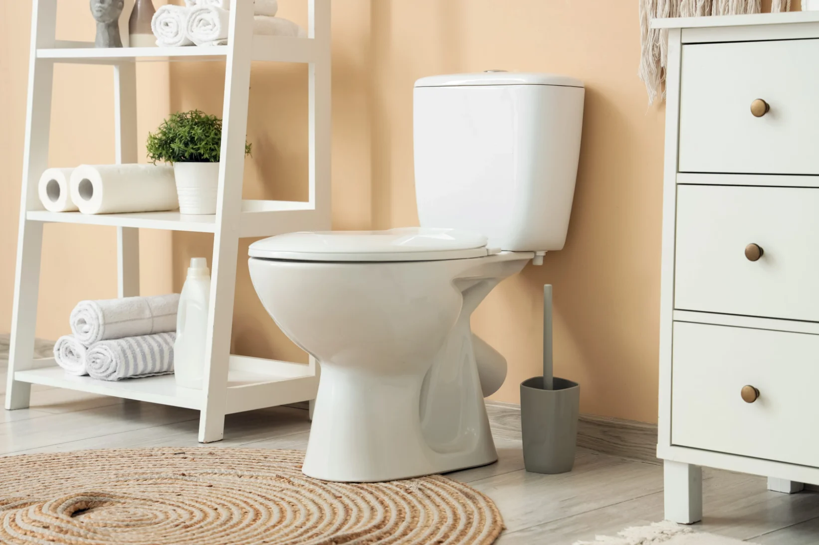Tankless Water Heater Repair in Des Moines 11 Toilet